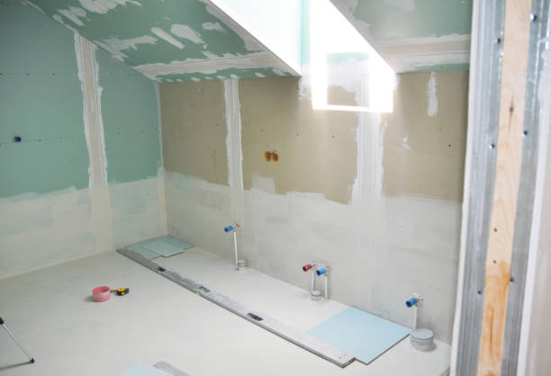 Best Mold Odor Removal Services  in Ogden, KS