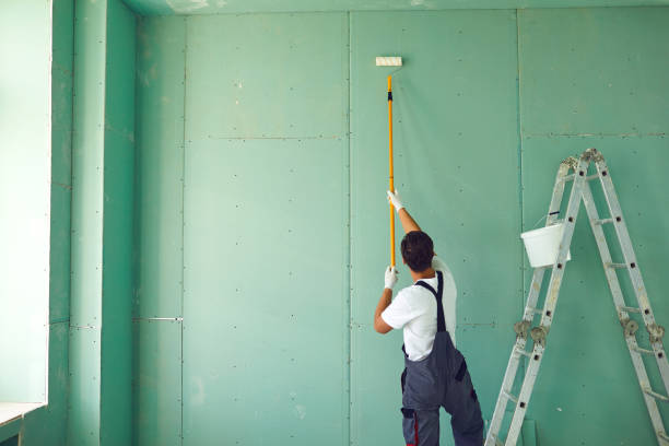 Best Biohazard Mold Removal  in Ogden, KS