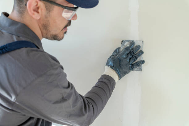 Best Environmental Consulting for Mold Prevention  in Ogden, KS