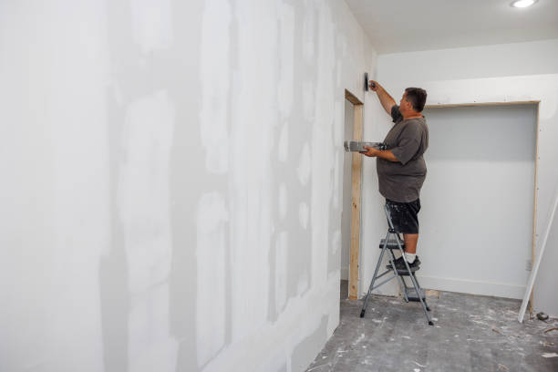 Best Attic Mold Removal  in Ogden, KS