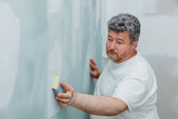  Ogden, KS Mold Removal Pros
