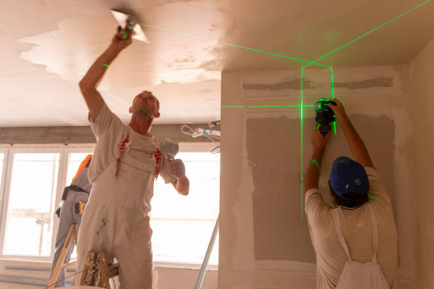 Best Mold Documentation for Insurance Claims  in Ogden, KS